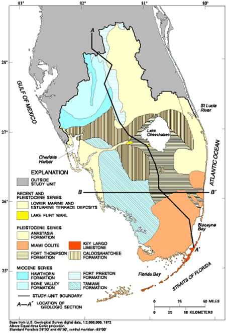 Key Largo Limestone